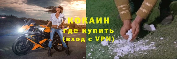 прущие грибы Новодвинск