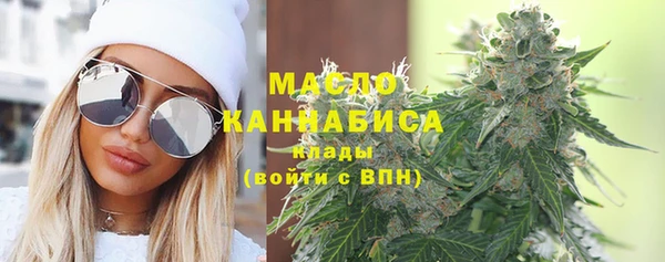 прущие грибы Новодвинск