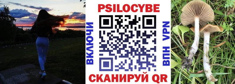 Галлюциногенные грибы Psilocybine cubensis omg вход дарк нет формула Лосино-Петровский